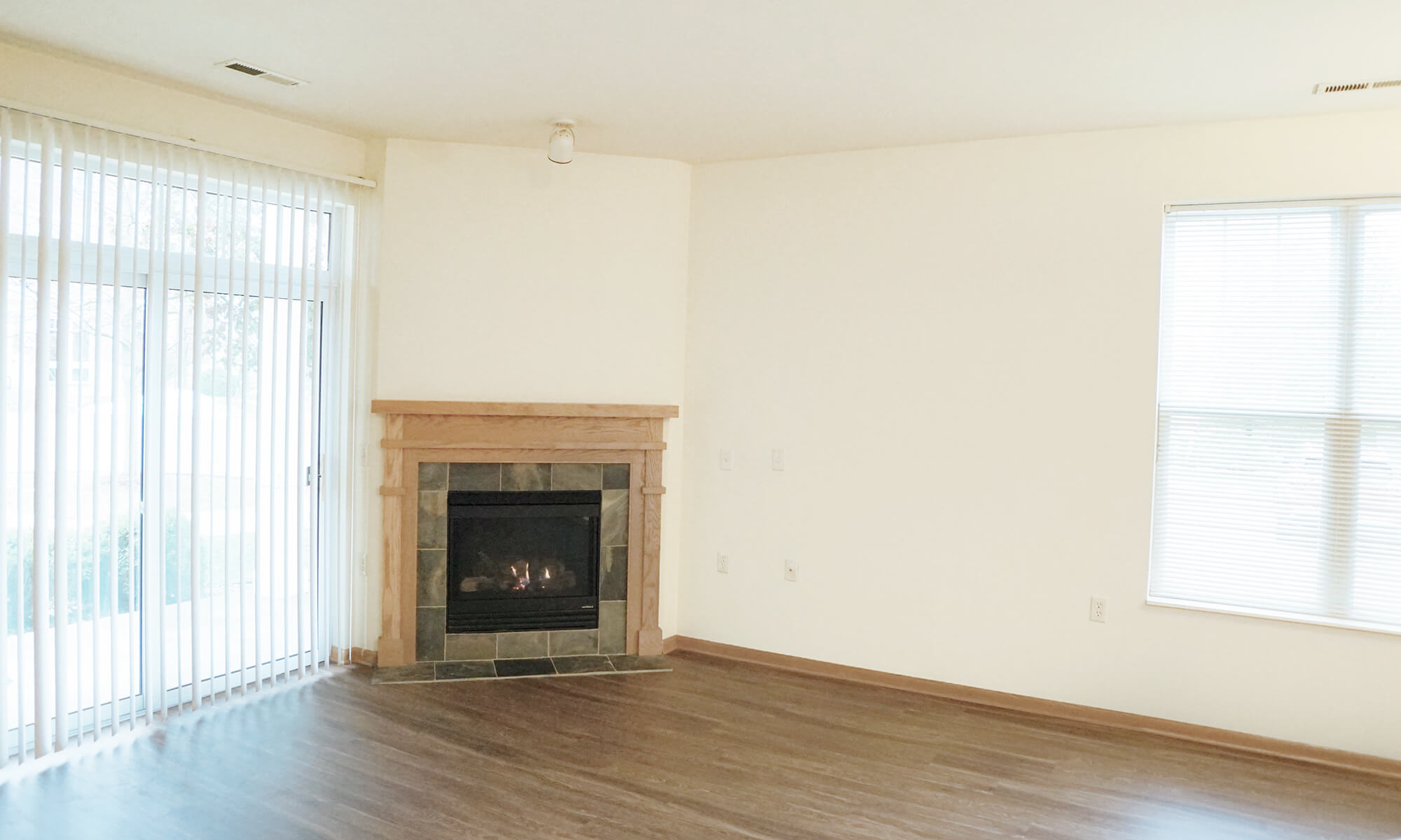 Living Room and Fireplace (5)_dec 2019